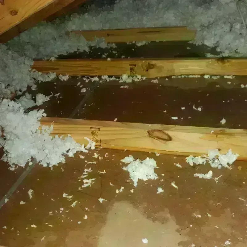 Attic Water Damage in Pearland, TX