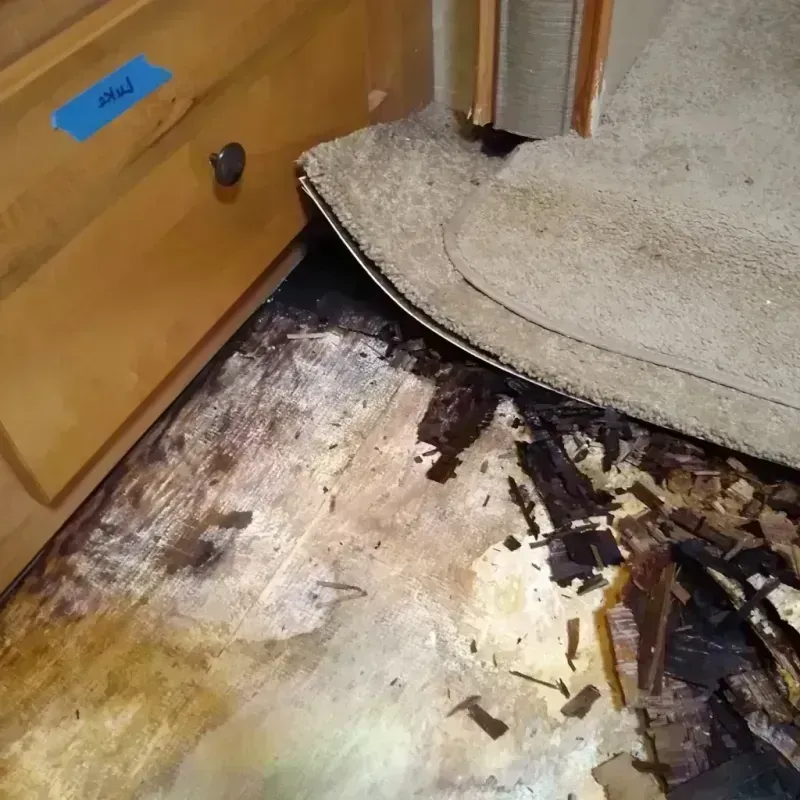 Wood Floor Water Damage in Pearland, TX